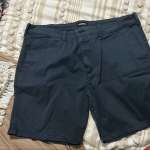 Express  by Blue Flat Front Shorts